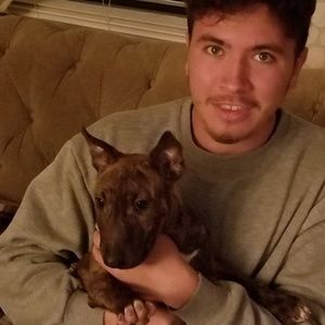 Meet your Posher, Samson